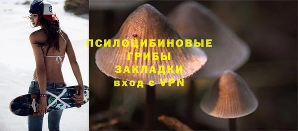 таблы Алексеевка